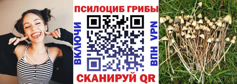 Псилоцибиновые грибы мухоморы  кракен tor  Старица 